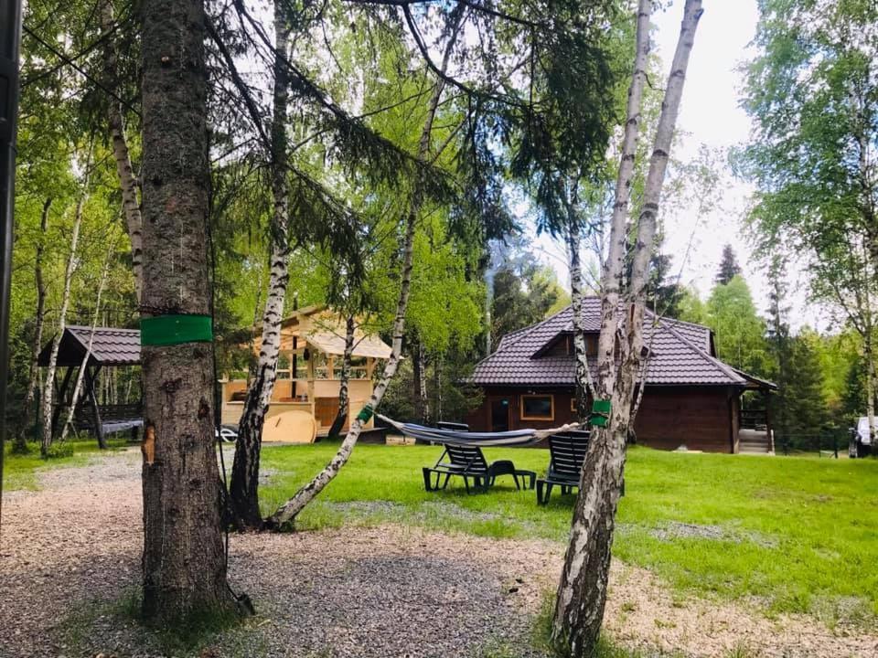 Cabana Din Padurea Belis Si Casuta Din Copac Cluj-Napoca Exterior foto